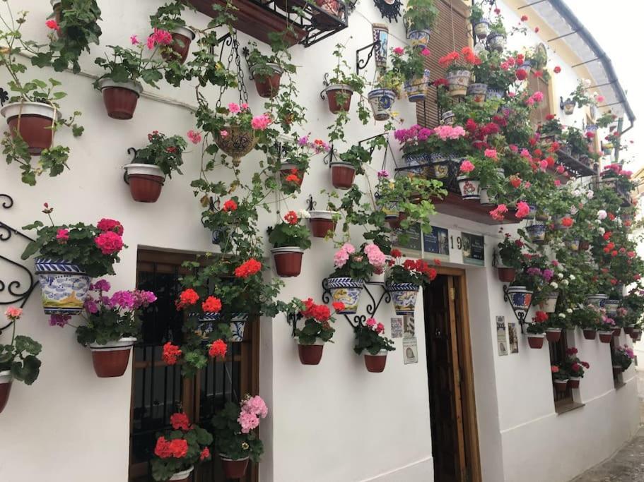 Apartamento El Rincon De La Verdad Κόρδοβα Εξωτερικό φωτογραφία